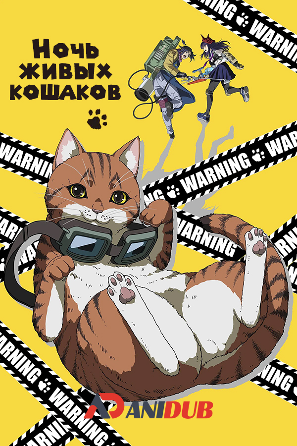 Ночь живых кошаков